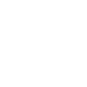 Icona volante